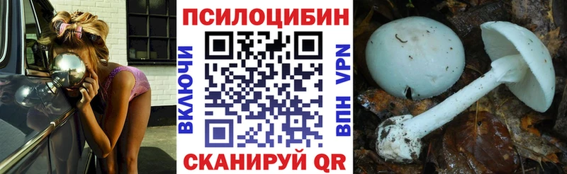 Псилоцибиновые грибы Psilocybine cubensis  Верхний Тагил 